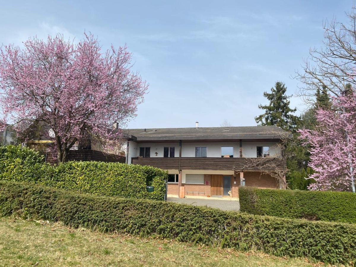 Apartments In Leafy Suburb Kehrsatz Exterior photo
