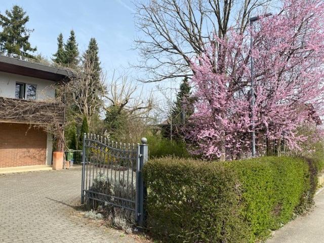 Apartments In Leafy Suburb Kehrsatz Exterior photo